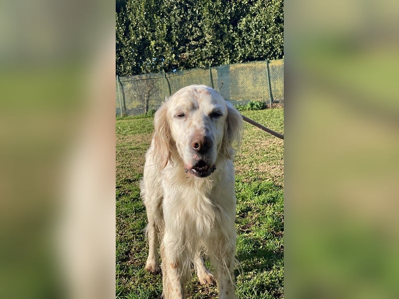 Baldone - Cappuccino mit Schokostreuseln gefällig?