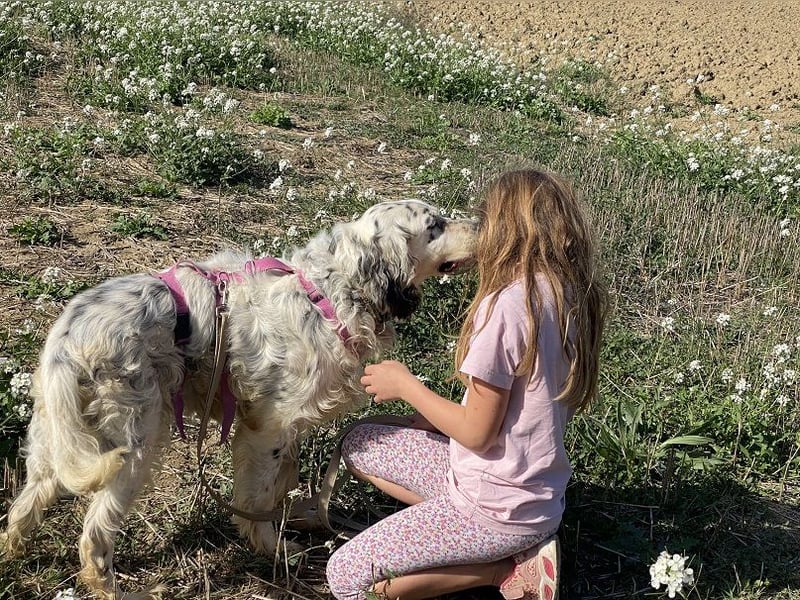 Marte - ...SOS - möchte eine Band gründen