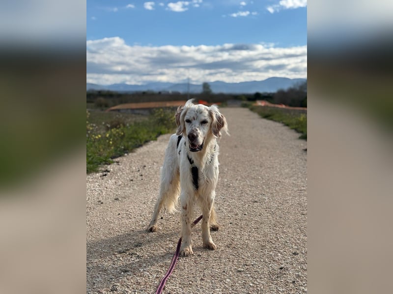 Baldone - Cappuccino mit Schokostreuseln gefällig?