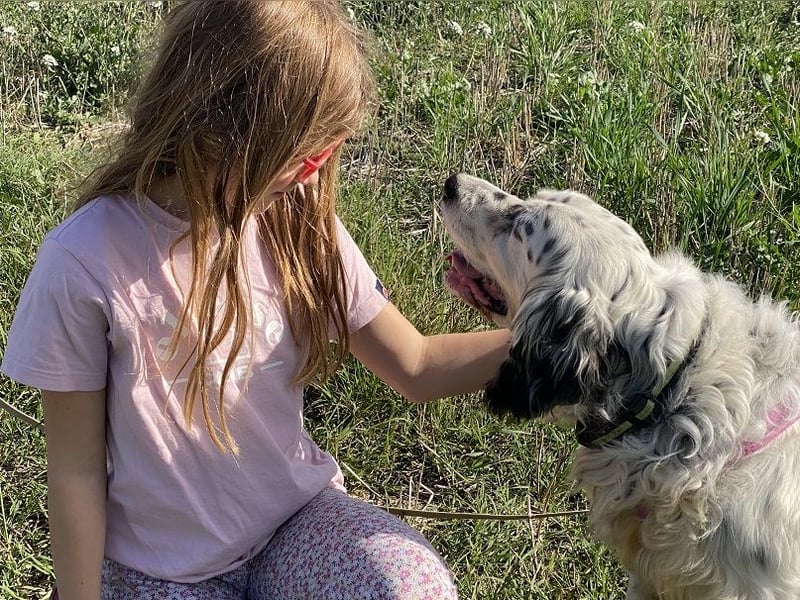 Marte - ...SOS - möchte eine Band gründen