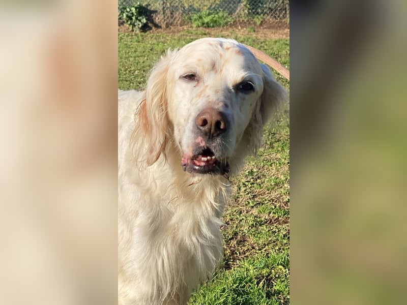 Baldone - Cappuccino mit Schokostreuseln gefällig?