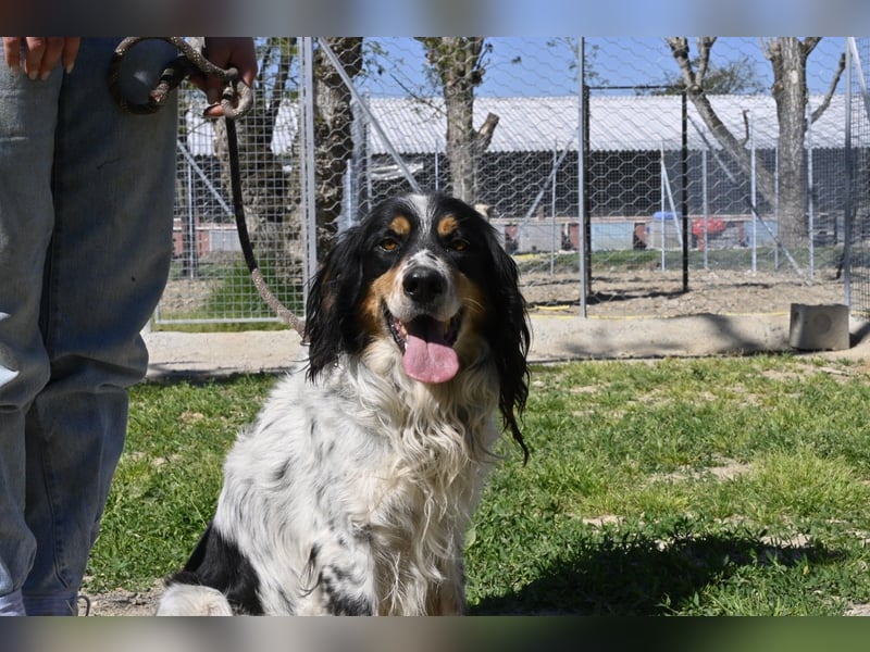 Shelby - eine neue Welt