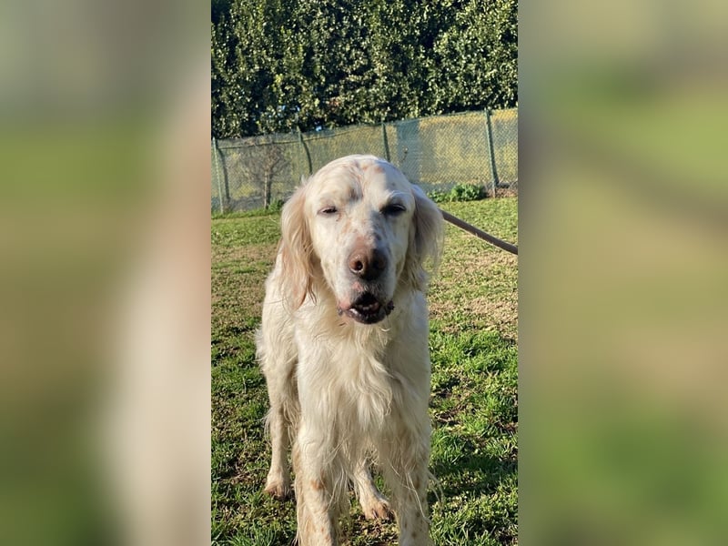 Baldone - Cappuccino mit Schokostreuseln gefällig?