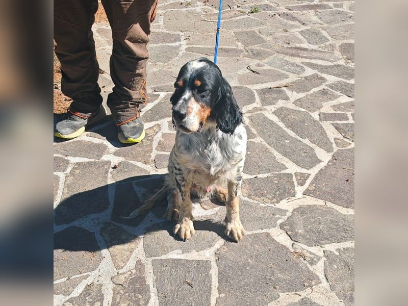 Atlante