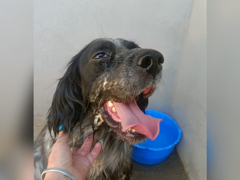 Zeus