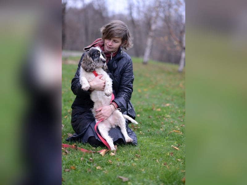 Lebenslustige KELLIS sucht eine aktive Familie