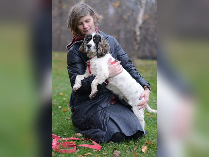 Lebenslustige KELLIS sucht eine aktive Familie