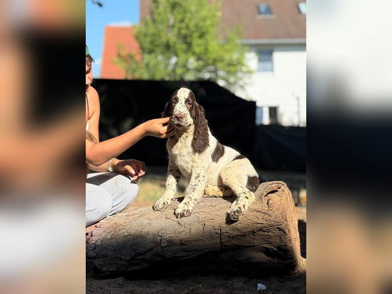 Unsere J- welchen dürfen  ausziehen