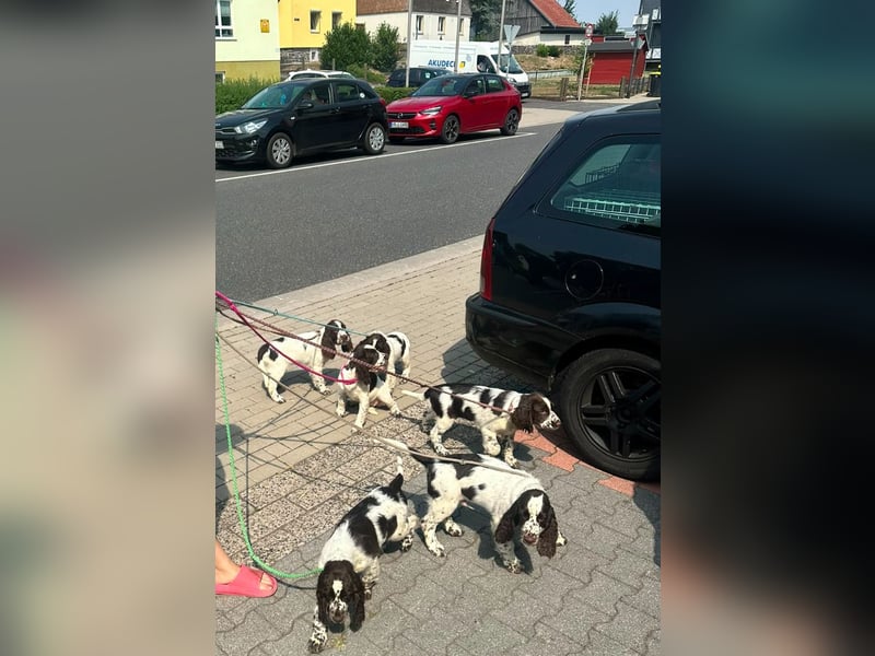 Unsere J- welchen dürfen  ausziehen