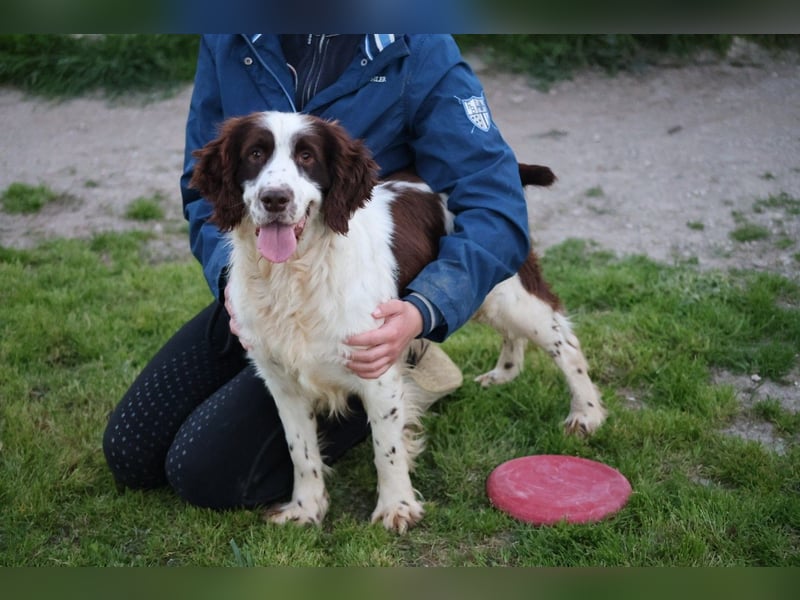 Ulk - Suche Familie, biete bedingungslose Liebe