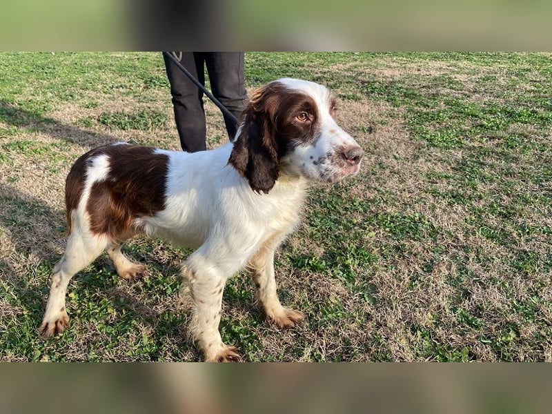 Ulk - Suche Familie, biete bedingungslose Liebe