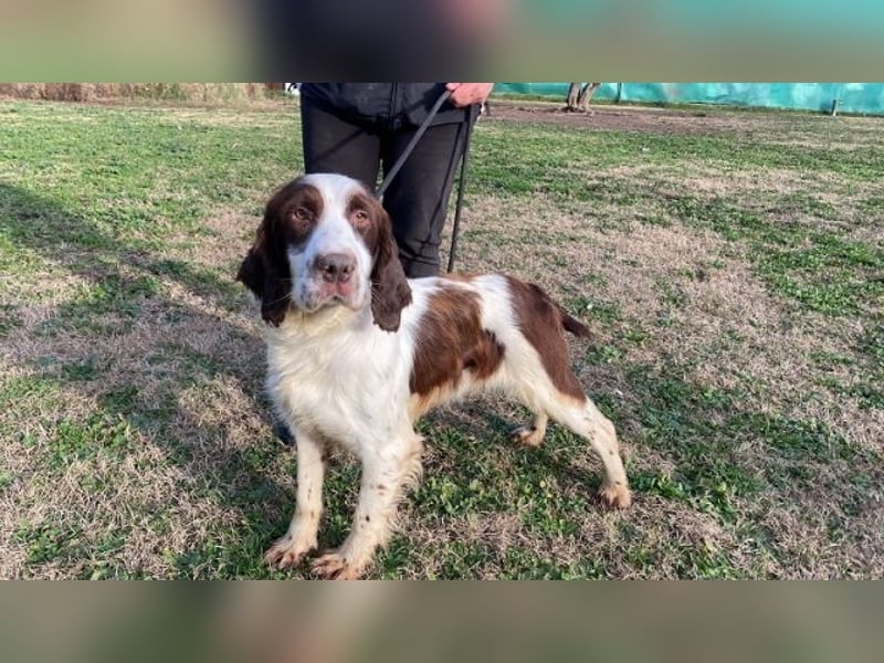 Ulk - Suche Familie, biete bedingungslose Liebe