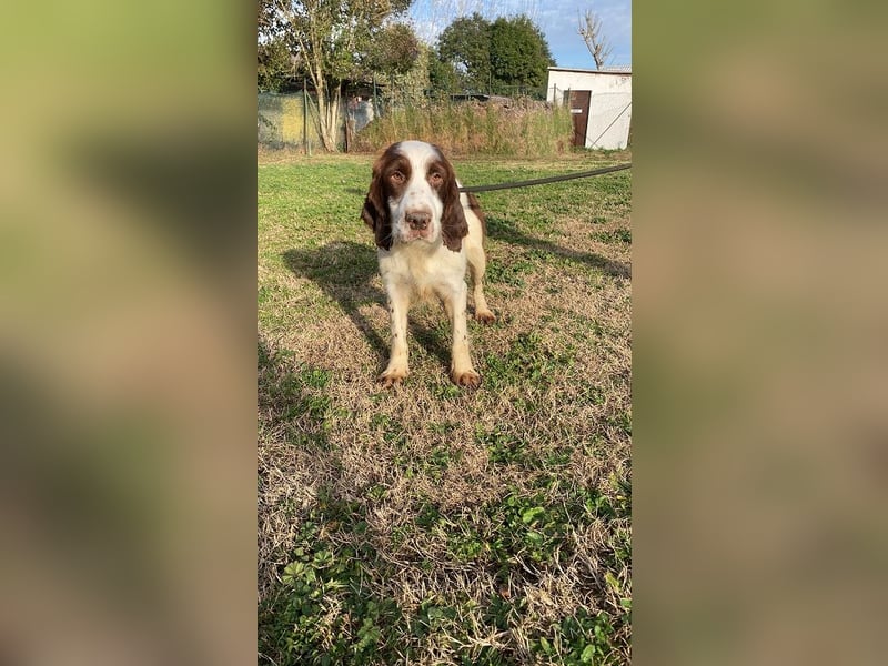 Ulk - Suche Familie, biete bedingungslose Liebe