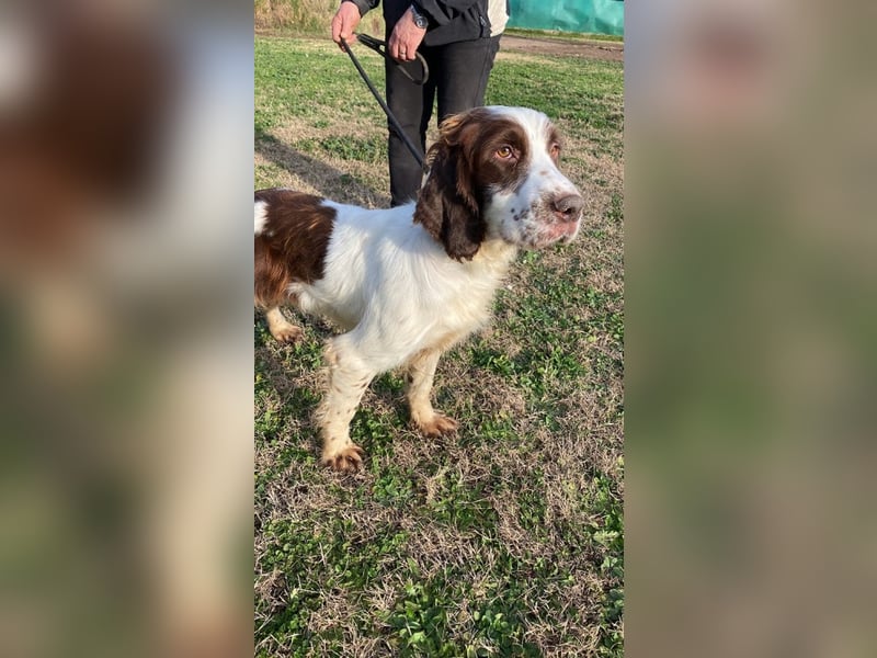 Ulk - Suche Familie, biete bedingungslose Liebe