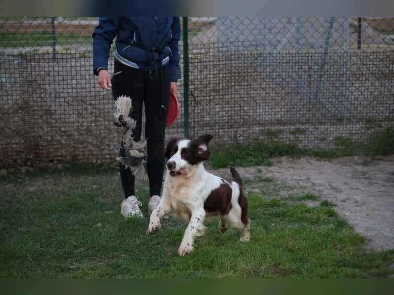 Ulk - Suche Familie, biete bedingungslose Liebe