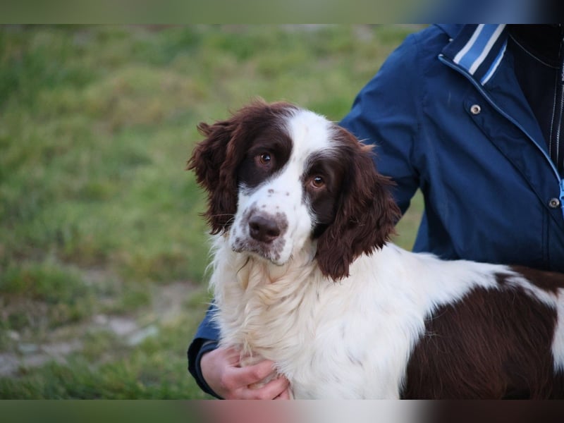 Ulk - Suche Familie, biete bedingungslose Liebe