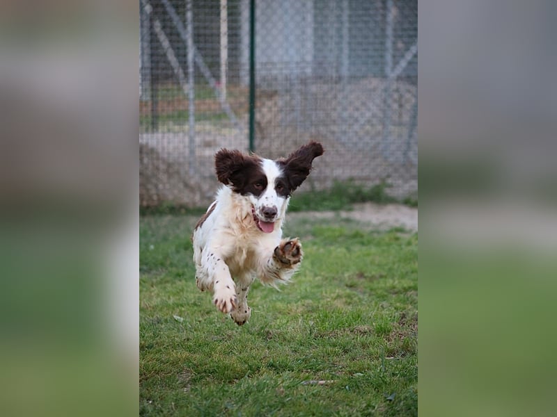 Ulk - Suche Familie, biete bedingungslose Liebe