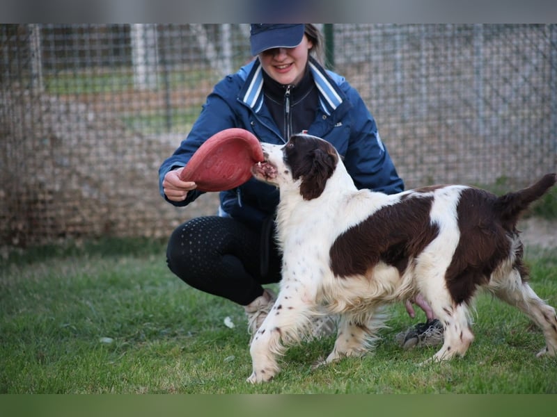 Ulk - Suche Familie, biete bedingungslose Liebe