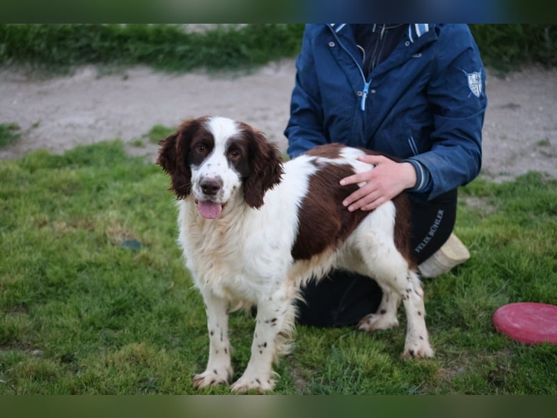 Ulk - Suche Familie, biete bedingungslose Liebe