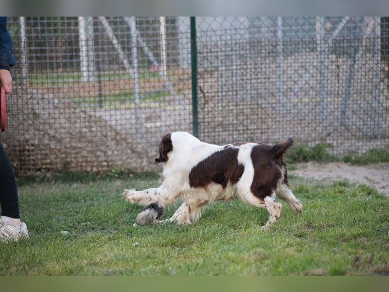 Ulk - Suche Familie, biete bedingungslose Liebe