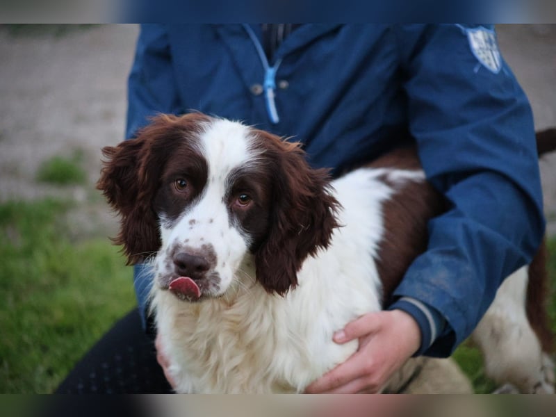 Ulk - Suche Familie, biete bedingungslose Liebe