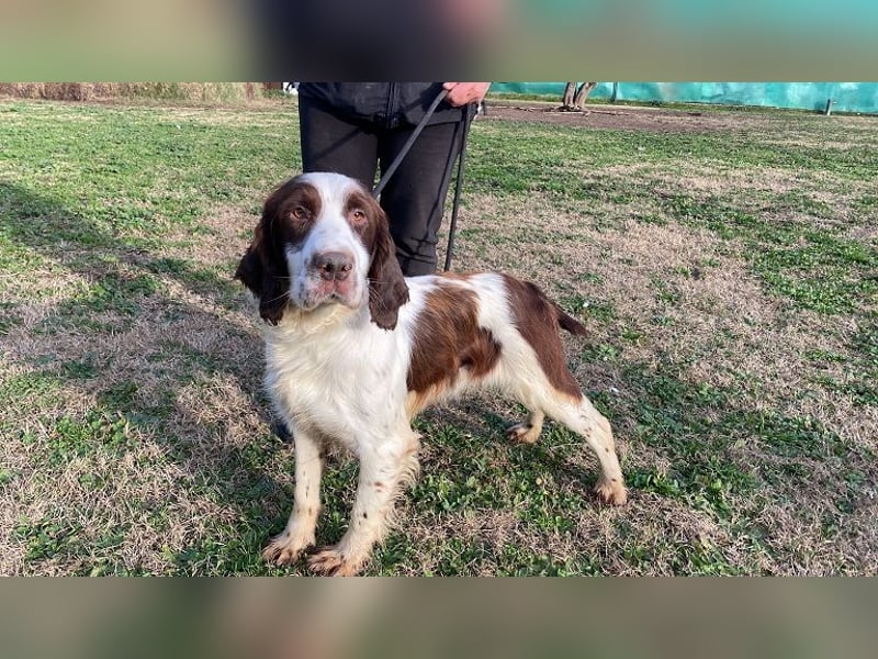 Ulk - Suche Familie, biete bedingungslose Liebe