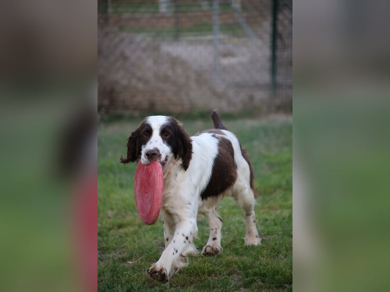 Ulk - Suche Familie, biete bedingungslose Liebe