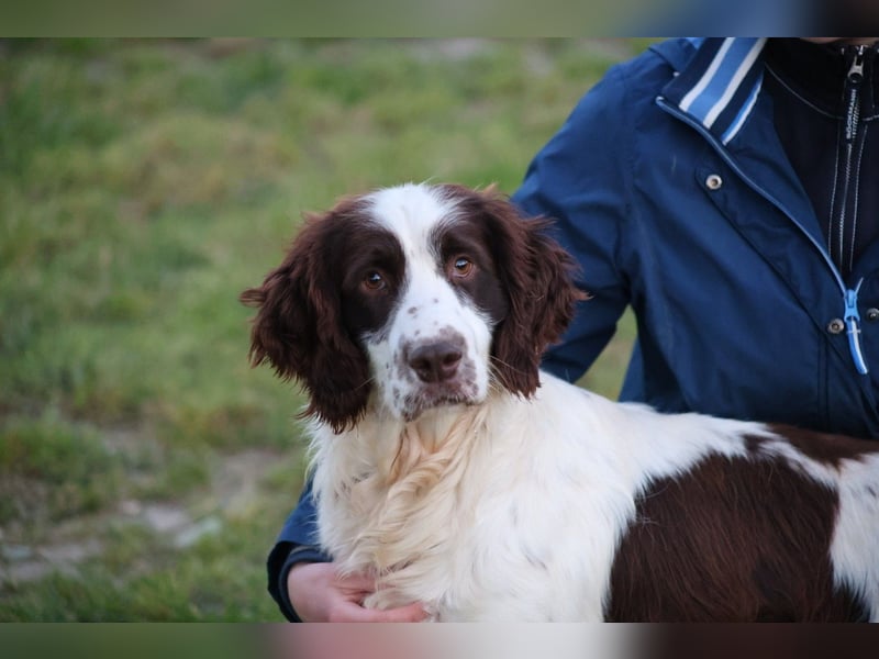 Ulk - Suche Familie, biete bedingungslose Liebe