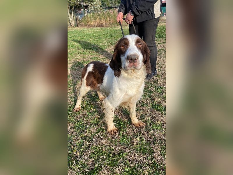 Ulk - Suche Familie, biete bedingungslose Liebe