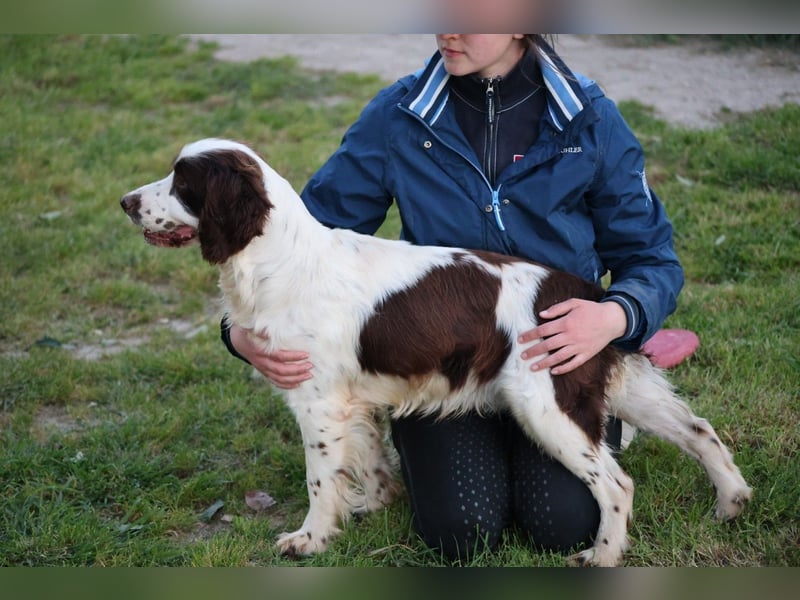 Ulk - Suche Familie, biete bedingungslose Liebe