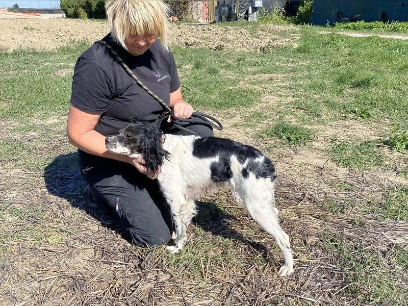Brina - kleine Jägerin mit großem Herz und Freude am Leben