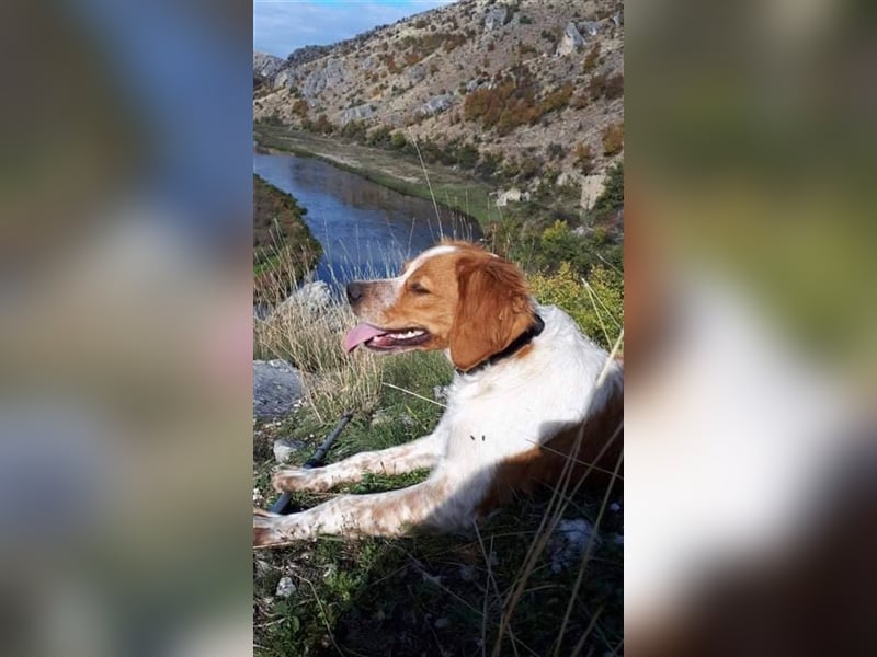 Hugo sucht sein eigenes Körbchen