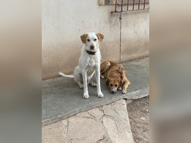  BERTO  ist noch schüchtern