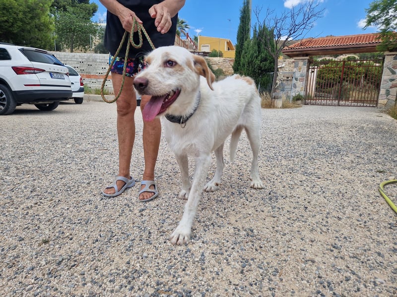  BERTO  ist noch schüchtern