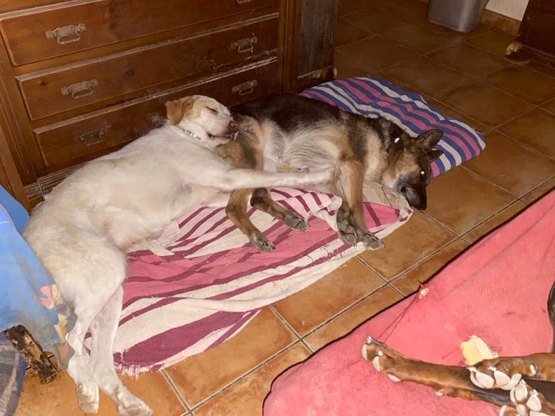  BERTO  ist noch schüchtern