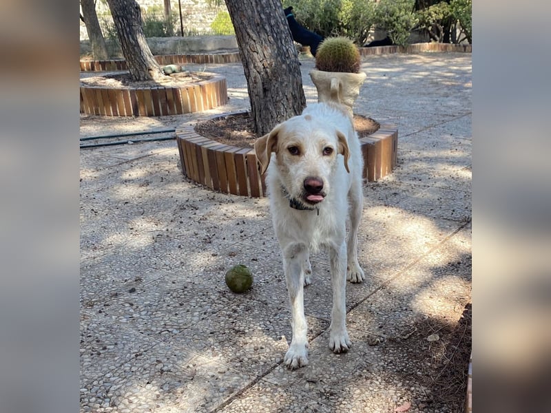  BERTO  ist noch schüchtern