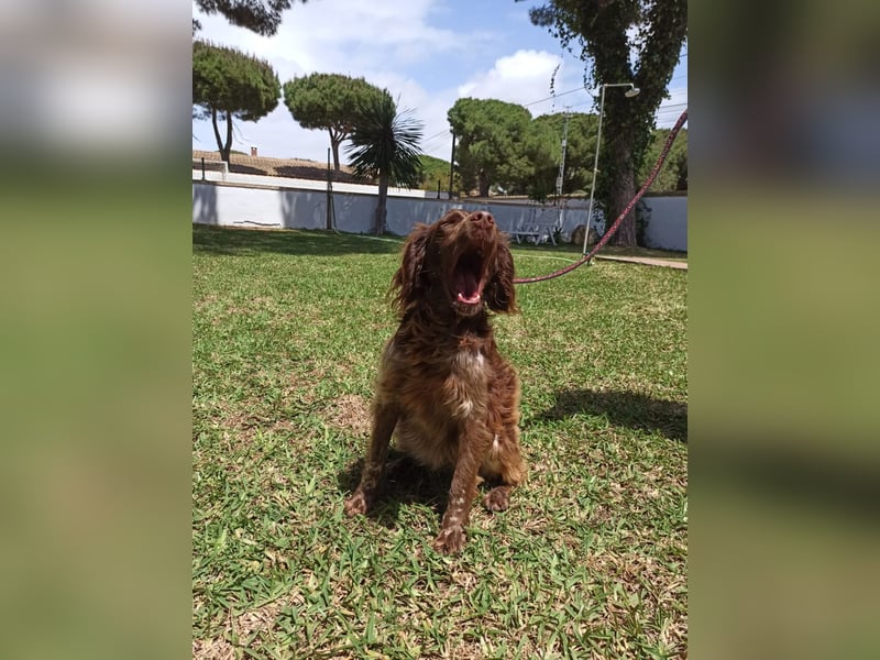 Gina