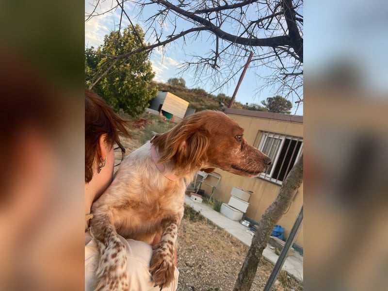 Linda, sucht ihre Familie