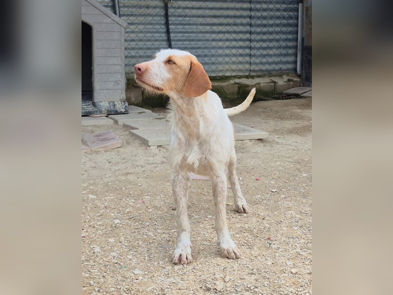 Zoe, Sie wartet schon so lange