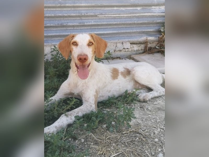 Zoe, ein toller Familienfreund