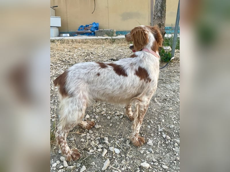 Linda, sucht ihre Familie