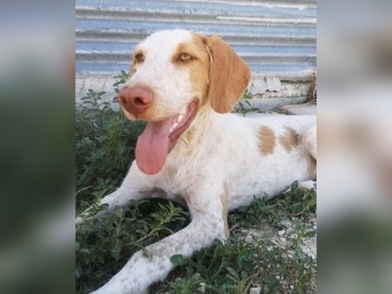 Zoe, ein toller Familienfreund