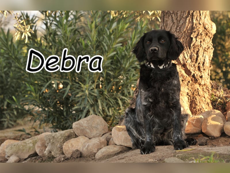 Sind Sie von Debra verzaubert?