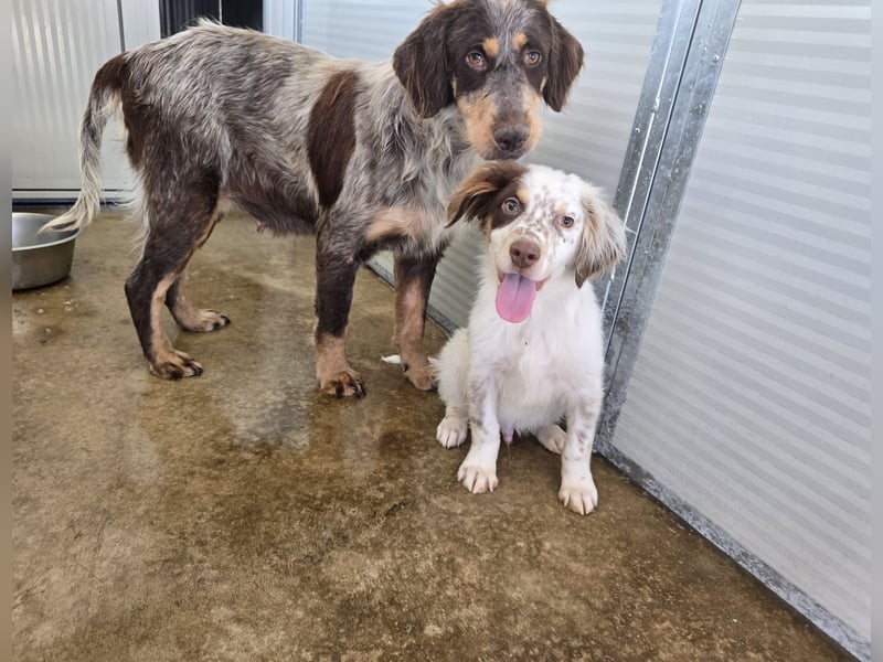 Lello: endlich durchstarten