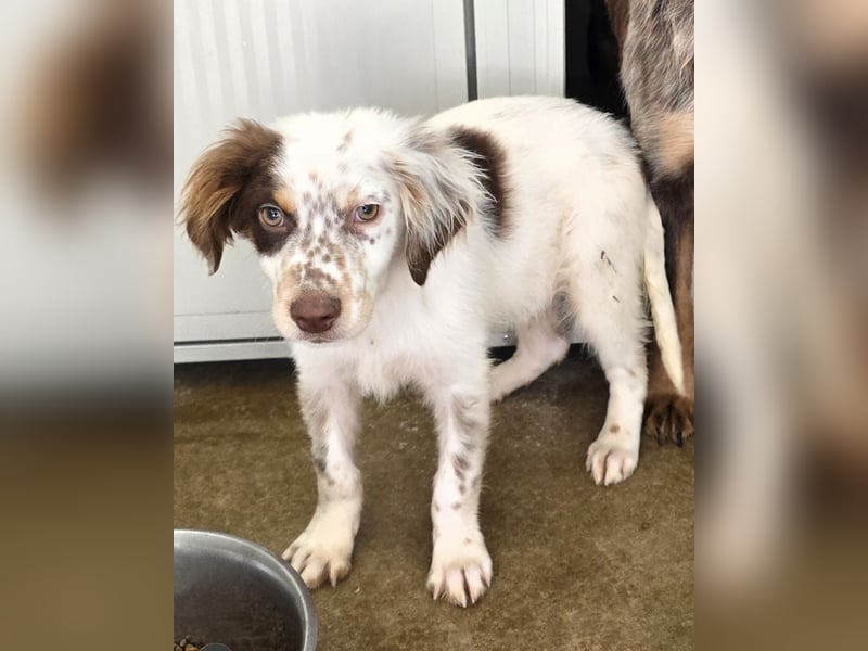 Lello: endlich durchstarten