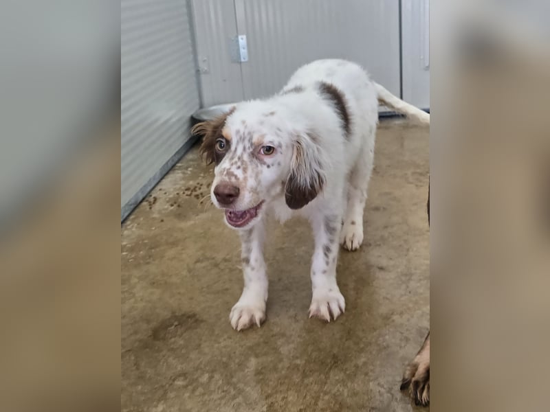 Lello: endlich durchstarten