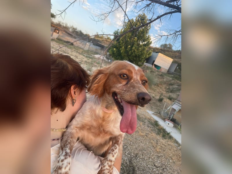 Linda, treu, liebenswert und voller Hoffnung