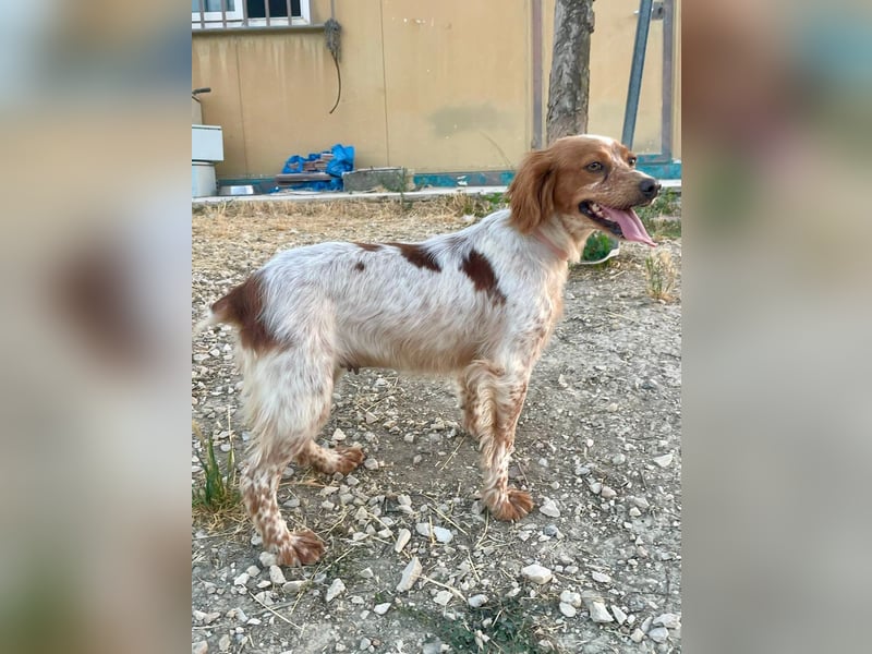 Linda, treu, liebenswert und voller Hoffnung