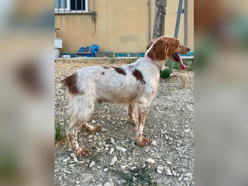 Linda, treu, liebenswert und voller Hoffnung