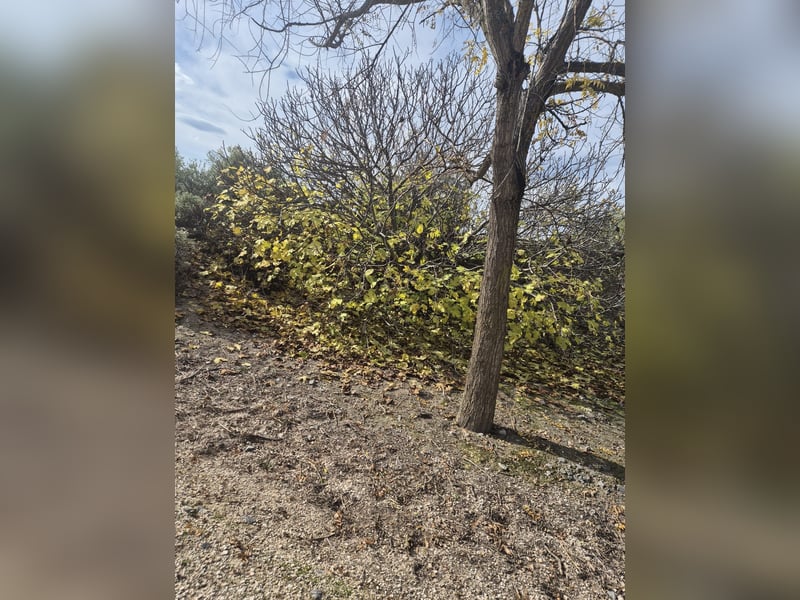 Anastasia – klein, tapsig und bereit fürs große Glück